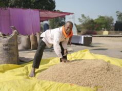 मेहनत की कमाई लेकर उत्साह से उपार्जन केंद्र पहुँचे फूल सिंह, सुव्यवस्थित धान खरीदी से परिवार की बढ़ेगी समृद्धि