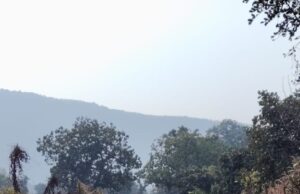 KORBA : खनीज न्यास मद से निर्मित सड़क में हुए भ्रष्टाचार की जांच करें कलेक्टर : शिव चौहान