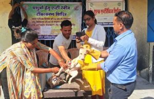 KORBA : नगर निगम व पशु चिकित्सा विभाग टीम के द्वारा स्ट्रीट डाॅग का किया जा रहा वैक्सीनेशन