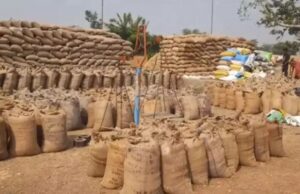 छत्तीसगढ़ में धान खरीदी महाअभियान की रफ्तार तेज़, अब तक 22.25 लाख मीट्रिक टन धान की हुई खरीदी