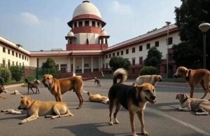सुप्रीम कोर्ट का अहम फैसला, ‘कुत्ते ने काटा तो राज्य सरकार देगी मुआवजा’