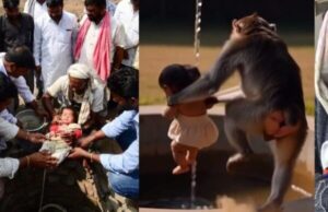 बंदर ने मां की गोद से छीनकर नवजात को कुएं में फेंका, फिर हुआ ये चमत्कार…