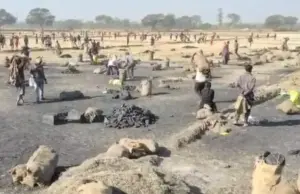 SECL अमेरा खदान में कोयला चोरी का वीडियो वायरल, रोजाना 100 टन से अधिक अवैध उत्खनन का आरोप