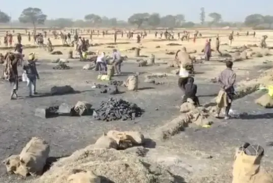 SECL अमेरा खदान में कोयला चोरी का वीडियो वायरल, रोजाना 100 टन से अधिक अवैध उत्खनन का आरोप