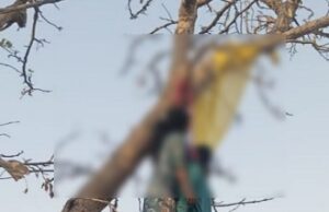 महासमुंद में फिर दिल दहला देने वाली घटना : प्रेमी जोड़े ने लगाई फांसी, दो दिन में दूसरी बड़ी घटना से इलाके में सनसनी…