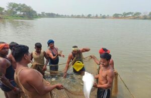 छोटे तालाब, बड़ी समृद्धि” -जय सिंगारासती मछुआ सहकारी समिति की उल्लेखनीय उपलब्धि