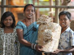 बालको की उन्नति परियोजना ने बदली ज़िंदगी, गंगोत्री से मशरूम दीदी बनने तक का सफर…