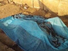 BREAKING : बुजुर्ग महिला की पत्थर से कुचलकर हत्या, खून से लथपथ शव मिलने से मचा हड़कंप…