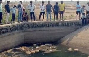 नहर में बह रहा था गांजा!, एक के बाद एक 17 पैकेट किए पुलिस ने बरामद…