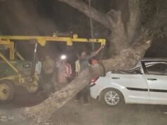 BREAKING NEWS : चलती कार पर गिरी पेड़ की विशाल डाल बाल-बाल बची जान, लोगों का सवाल आखिर कब जागेगा जिम्मेदार विभाग?…