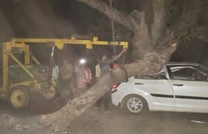 BREAKING NEWS : चलती कार पर गिरी पेड़ की विशाल डाल बाल-बाल बची जान, लोगों का सवाल आखिर कब जागेगा जिम्मेदार विभाग?…