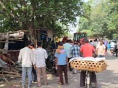कोरबा में चला निगम का बुलडोजर, महाराणा प्रताप चौक से हटाए गए ठेले-गुमटियां, बनेगा ग्रीन कॉरिडोर…