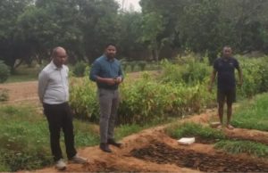 कोरबा में शासकीय उद्यान रोपणी पटियापाली का औचक निरीक्षण, नर्सरी प्रबंधन सुधारने दिए आवश्यक निर्देश