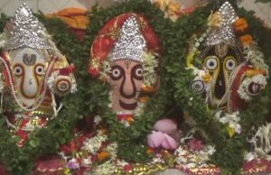 रथ यात्रा पर निकले “जगत के नाथ” हजारों हांथों ने खिंचा प्रभु का रथ, दादरखुर्द में 126 वर्षों से चली आ रही परंपरा…