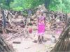 KORBA : हाथियों ने जटगा व केंदई रेंज में उत्पात मचाते हुए तोडा मकान, ग्रामीण परेशान…