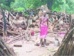 KORBA : हाथियों ने जटगा व केंदई रेंज में उत्पात मचाते हुए तोडा मकान, ग्रामीण परेशान…