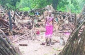 KORBA : हाथियों ने जटगा व केंदई रेंज में उत्पात मचाते हुए तोडा मकान, ग्रामीण परेशान…