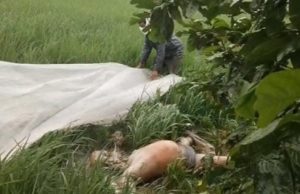 कोरबा: पचपेड़ी गांव के खेत में अज्ञात व्यक्ति का शव मिलने से सनसनी, पुलिस और फॉरेंसिक टीम जांच में जुटी…