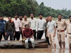 ‘पुष्पा’ स्टाइल में सागौन तस्करी : वन विभाग और पुलिस ने अंतरराज्यीय गिरोह के मंसूबों पर फेरा पानी, 3 गिरफ्तार