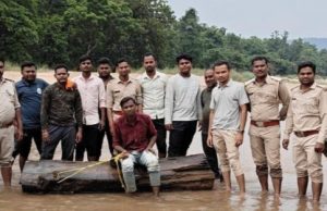‘पुष्पा’ स्टाइल में सागौन तस्करी : वन विभाग और पुलिस ने अंतरराज्यीय गिरोह के मंसूबों पर फेरा पानी, 3 गिरफ्तार