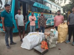 गौरेला-पेंड्रा-मरवाही में गांजा तस्करी के बड़े नेटवर्क का खुलासा, बस से 245 किलो गांजा जब्त; दो आरोपी गिरफ्तार