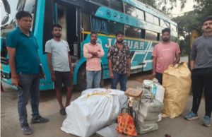 गौरेला-पेंड्रा-मरवाही में गांजा तस्करी के बड़े नेटवर्क का खुलासा, बस से 245 किलो गांजा जब्त; दो आरोपी गिरफ्तार
